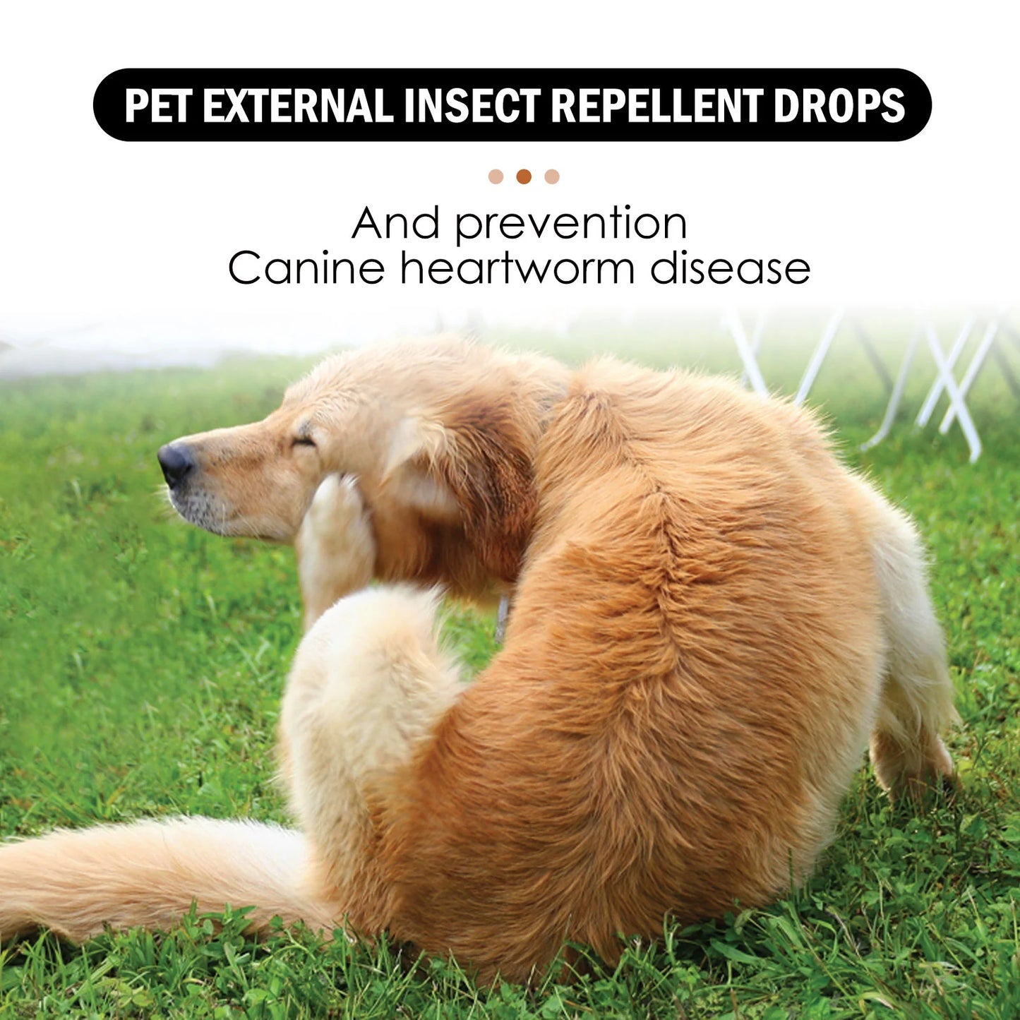 Pet Flea & Tick Spray, Canine and Feline Shampoo, Insect Repellent Drops