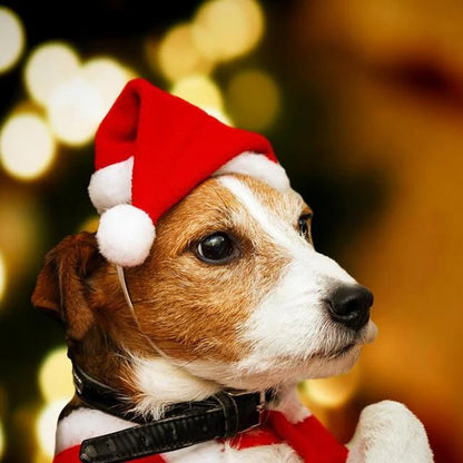 New Funny Pet Dog Cat Cap Costume Warm Rabbit Hat New Year Party Christmas Cosplay Accessories Photo Props Headwear